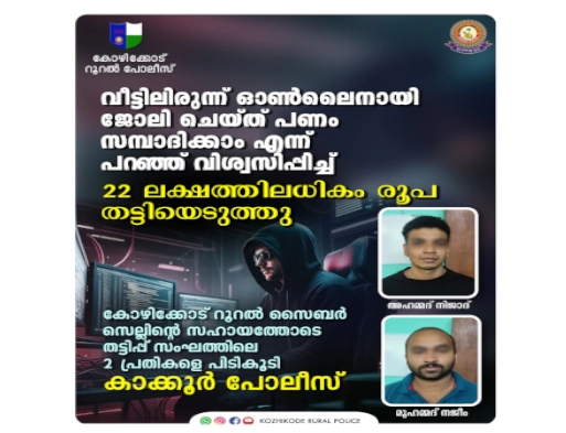 Online financial fraud